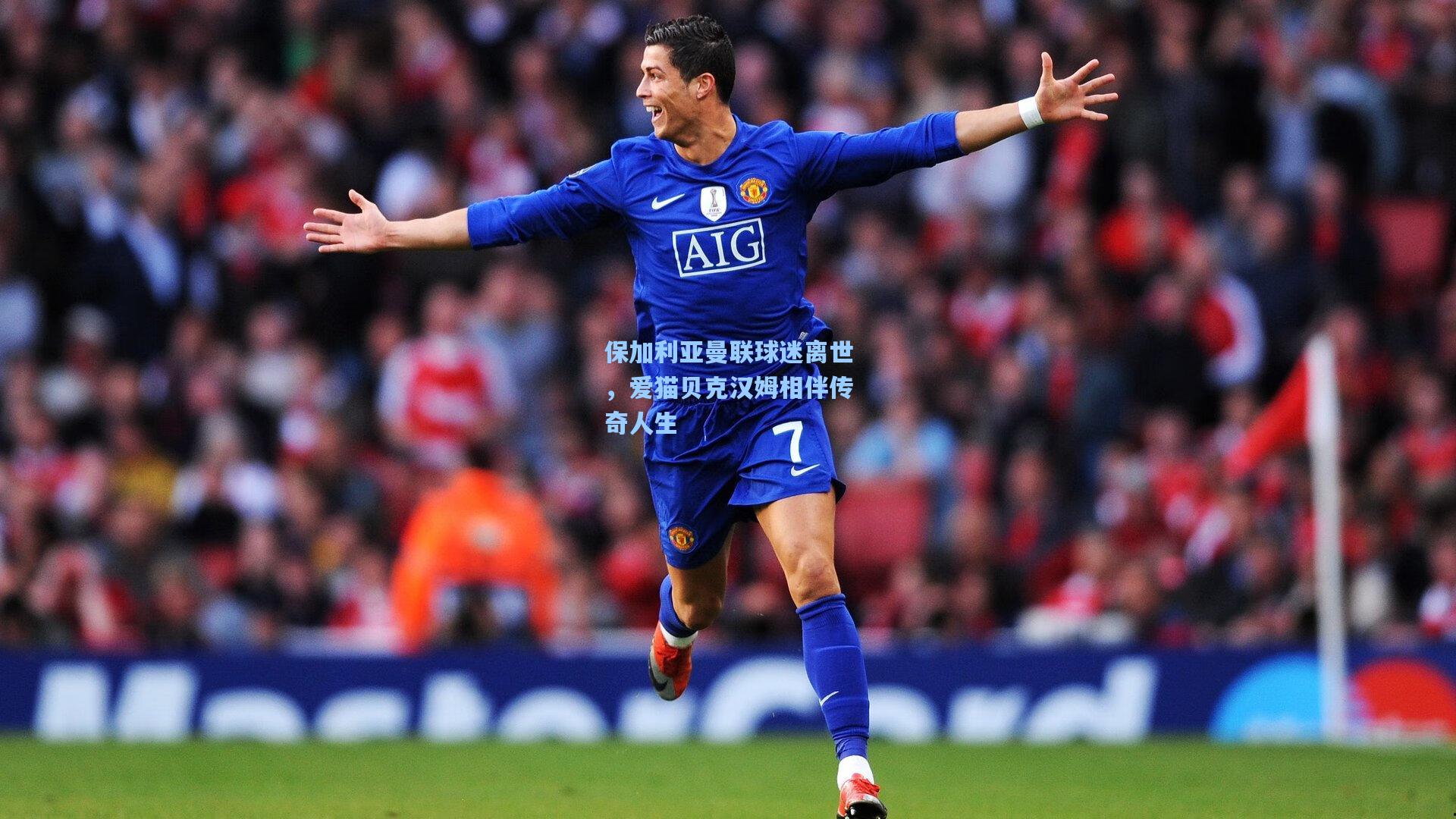 保加利亚曼联球迷离世，爱猫贝克汉姆相伴传奇人生